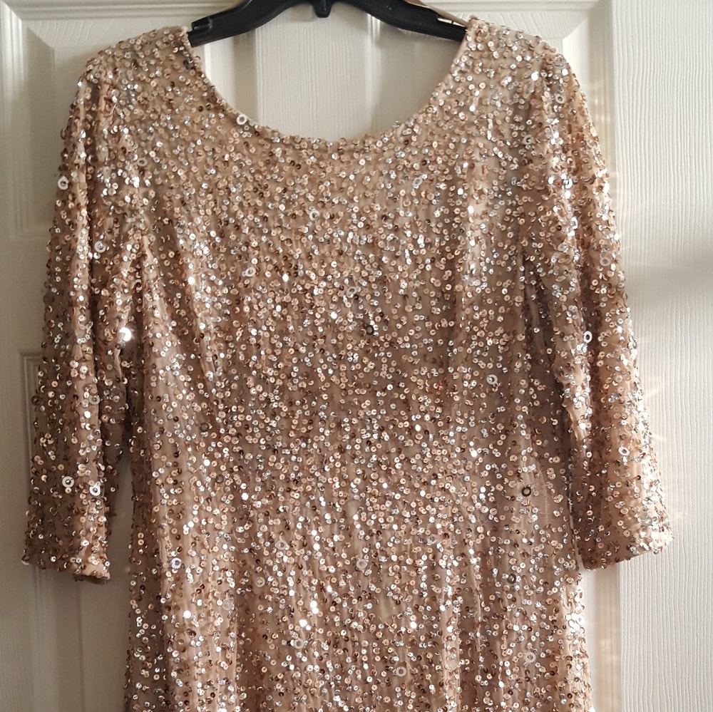 Adrianna Papell Scoop Back Sequined Gown